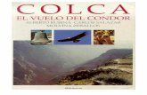 COLCA El vuelo del Cóndor - Descosurdescosur.org.pe/.../2014/12/COLCA_El_Vuelo_del_Condor.pdf · 2014-12-27 · COLCA El vuelo del Cóndor 1 PRESENTACIÓN Este libro es, en rigor,