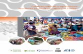 Políticas públicas y agriculturasrepiica.iica.int/docs/B3875e/B3875e.pdf · Políticas públicas y agriculturas . familiares en América Latina y el Caribe: Nuevas perspectivas.