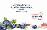 Jornada Linares - CBBCcomitedearandanos.cl/wp-content/uploads/2015/08/Julia-Pinto.pdf · 2. Manejo, • Las larvas emergen de la fruta para pupar en lugar protegido y larvas pupantes