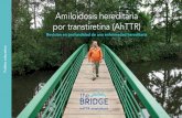 Amiloidosis hereditaria por transtiretina (AhTTR) · El sistema nervioso periférico, que está compuesto por nervios que se ramifican desde el cerebro y la médula espinal y se comunican