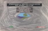 Pobreza y Medio Ambiente en Chile central€¦ · POBREZA Y MEDIO AMBIENTE EN CHILE CENTRAL, Tomo 1 N9 de Inscripción: 131.711 ISBN de la obra: 956-291-694-4 ISBN Tomo 1: 956-291-695-2