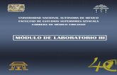MÓDULO DE LABORATORIO III - UNAM CMC... · do con el Alcoholismo que integre principalmente los contenidos teóricos de los módulos correspondientes al ciclo III. Los estudiantes,