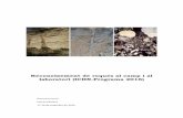 Reconeixement de roques al camp i al laboratori …Reconeixement de roques al camp i al laboratori (ICHN-Programa Cursos 2016). Parcerisa, D. i Climent, f. 1 de 30 ÍNDEX Presentació