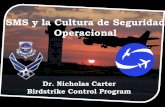SMS y la Cultura de Seguridad Operacional · 2013-09-27 · SMS y la Cultura de Seguridad Operacional Dr. Nicholas Carter Birdstrike Control Program. SMS and the Culture of Safety
