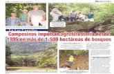 En Las Camelias Campesinos impulsan …...2012/03/01  · En Las Camelias Parte de las 1,535 hectáreas de bosques latifoliados que maneja la Cooperativa Agroforestal Las Camelias