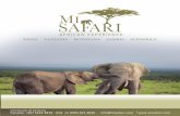 A F R I C A N E X P E R I E N C E AAFFRRIIC AC AN E …...Todos los traslados y safaris Entrada en los parques Safari de 8 días Nairobi Samburu Mt. Kenya Lago Nakuru Masai Mara Precio