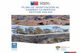 PLAN DE ADAPTACIÓN AL CAMBIO CLIMÁTICO …...3. Desafíos al sector salud en Chile 4. Objetivos y ejes de acción del Plan de Adaptación al Cambio Climático del Sector Salud 4.1.
