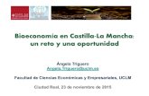 Bioeconomía en Castilla-La Mancha: un reto y una oportunidadblog.uclm.es/cytema/files/2014/02/Ángela-Triguero.pdf · Bioeconomía en Castilla-La Mancha: un reto y una oportunidad