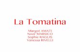 La Tomatina - lyceestendhal.itmoodle.lyceestendhal.it/.../intro/Tomatina.pdf · La Tomatina Margot AMATI Noor MARSICO Sophie RAGUIS Vanessa RIVELLI . Created Date: 1/7/2016 5:23:36
