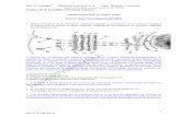 Fuente: //artemioespadaclark.files.wordpress.com/... · 3.- a) Explique la estructura y función del retículo endoplasmático utilizando un dibujo ... procesos: fotólisis, síntesis