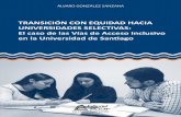 Transición con equidad - PAIEP | Universidad de Santiago de Chile · 2018-06-12 · equidad (MTE) desarrollado por la Universidad de Santiago de Chile estos serían –salvo excepciones–