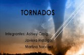 TORNADOS - s95b9e63f05c6a963.jimcontent.com€¦ · los tornados pueden ser locales, pero la rapidez con que se desarrollan, los hacen muy peligrosos para la gente. daÑos que puede