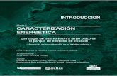 Informe I2 CARACTERIZACIÓN ENERGÉTICA · Informe I2 CARACTERIZACIÓN ENERGÉTICA Estrategia de intervención a largo plazo en el parque de edificios de Euskadi - Proyecto de investigación