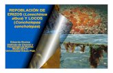 REPOBLACIÓN DE ERIZOS (Loxechinus albus) Y LOCOS · Desembarque nacional de Erizo (Loxechinus albus)) ... de mar filtrada ( 500gr alga / 20 lts agua de mar filtrada ) Filtrado de