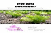 MENGEM BACTERIS? - Pehocpehoc.cat/wp-content/uploads/2013/09/Mengem-bacteris.pdf · -HIPÒTESI 5: Els mètodes de recompte simplificats, com els que s’utilitzen per fer un urinocultiu,