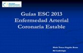 Guías ESC 2013 Enfermedad Arterial Coronaria Estable · • Proceso diagnóstico basado en la probabilidad pretest de EACE. • Separación del proceso diagnóstico y la estratificación