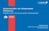 Innovación en Empresas Chilenas - AméricaEconomía · Subdirección de Innovación Empresarial Prototipos para la Innovación Empresarial Objetivo Apoyar el desarrollo de proyectos