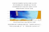 ANALISIS DE LOS POSIBLES IMPACTOS AMBIENTALES DE LOS ...podemoscastro.com/gallery/2015-01-02 impactos... · para los proyectos “Sondeo exploratorio Fulmar-1” y “Sondeo Exploratorio