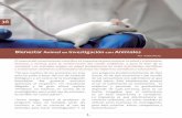 Bienestar Animal Investigación con Animales - Facultad de Medicinamedicina.udd.cl/centro-bioetica/files/2014/12/M... · 2014-12-01 · emanan el bienestar animal, la bioética en
