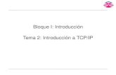 Bloque I: Introducci Tema 2: Introducción a TCP/IPquegrande.org/apuntes/EI/3/RC/teoria/08-09/tema_2:_introduccion_a_… · RC Bloque I Tema 2 16 Interfaz de loopback • Se reserva