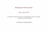 Bodegas Montecillo - Metodo Ganimede · Durante el 2.005 se desviò una partida presupuestaria, inicialmente destinada a otra empresa del grupo, a Bodegas Montecillo. La bodega tenia