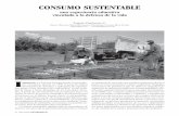 CONSUMO SUSTENTABLE - CREFALcrefal.edu.mx/decisio/images/pdf/decisio_8/decisio8_saber2.pdf · consumo sustentable para preve-nir problemas ambientales globa-les: cambio climático,