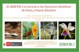 El SERFOR y el Acceso a los Recursos Genéticos de Flora y ...ippn.org.pe/pdf/SERFOR y el Acceso a los Recursos... · los recursos genéticos de los recursos forestales y de fauna