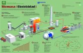 Biomasa Electricidad - Agencia Andaluza de la Energía...antes de entrar en la caldera, optimizando el proceso. Combustión 2 La biomasa ya tratada llega hasta la caldera por dosificadores