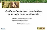 Cuál es el potencial productivo de la soja en la región este · Cuál es el potencial productivo de la soja en la región este Andres Berger, IngAgr PhD Deborah Gaso, IngAgr INIA