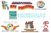 ADR ASAGA INDALO - Ramsar · 2015-10-30 · Fernando Brauer Granados, Manuel de Jesús Hernández Ancheita.- MATS, KAY PALENQUE H. Ayuntamiento de Palenque. MERCADO, AMBIENTE, TECNOLOGiA