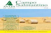 Campo Salmantino...Las inversiones,hasta 28 de febrero de 2018. Luz verde al laboreo del terreno con volteo La Junta da luz verde al laboreo de terreno con volteo para cualquier cultivo.