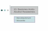 13. Bastones Acido- Alcohol Resistentes...2020/04/13  · hidrofóbica e impermeable a las tinciones acuosas en frio. De aquí se deriva la propiedad de ácido-alcohol resistentes