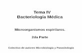 Tema IV Bacteriología Médica - Infomeduvsfajardo.sld.cu/sites/uvsfajardo.sld.cu/files/... · Conocida en Europa como Eritema migratorio crónico, presenta manifestaciones cutáneas,