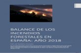BALANCE DE LOS INCENDIOS FORESTALES EN ESPAÑA: AÑO 2018 · 2019-05-31 · A diferencia del año 2017 que fue seco y cálido en España, y desastroso en cuanto a incendios forestales,