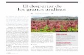ARICUTURA El despertar de los granos andinos · Ecuador era de 400 a 600 kg, aunque no existen datos históricos para el amaran - to. En la actualidad, según el Iniap, con la conjunción