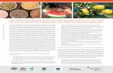 LAS CIENCIAS BIOLÓGICAS EN UNA ENCRUCIJADA: EL …...∑ El campo emergente de la nutrigenómica está proporcionando asesoramiento nutricional a la medida y productos alimenticios