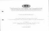 UNIVERSIDAD NACIONAL DE CHIMBORAZOobsinvestigacion.unach.edu.ec/obsrepositorio/indic... · UNIVERSIDAD NACIONAL DE CHIMBORAZO DIRECCION PROVINCIAL DE SALUD DE CHIMBORAZO 3, LOCALIZACIÓN