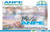andalucía ANPE, Sindicato Independiente 4 5 Suplemento a la revista ANPE nº 595 Andalucía InformaciónSindical Información Sindical El 4 de diciembre es la hora del profesorado: