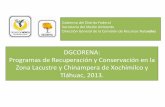 DGCORENA: Programas de Recuperación y Conservación en la ...paot.org.mx/contenidos/paot_docs/talller... · • 18 grupos apoyados y 4 brigadas comunitarias (total de 342 personas)