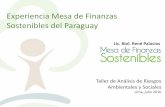 Experiencia Mesa de Finanzas Sostenibles del Paraguay · 2016-08-04 · Contexto local –Importancia del sector financiero Mesa de Finanzas Sostenibles Según datos de CAPECO (2015)