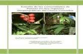Estudio de las comunidades de Palmas en dos regiones ... · Departamento de Biología-Instituto de Ciencias Naturales Posgrado en Biología - Línea Biodiversidad y Conservación