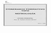 ITINERARIO FORMATIVO TIPO NEFROLOGÍAosaraba.eus/wp-content/uploads/2020/03/2020-ift-nefrologia.pdf · Curso de Nefrología de urgencias para residentes, organizado en 2019 por el