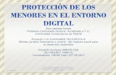 Ana Lambea Rueda Universidad Complutense de Madrideprints.ucm.es/45039/1... · Las empresas que operan en Internet y las empresas emisoras de tarjetas de crédito pueden facilitar