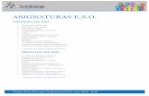 ASIGNATURAS E.S.O. - Santo Domingo VistillasOptativa1 -Música •! Optativa2 - Informática •! Optativa- Proyecto Integrado A ELEGIR UNA DE LAS TRES OPTATIVAS ! Title Microsoft