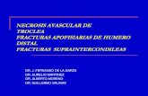 NECROSIS AVASCULAR DE TROCLEA FRACTURAS APOFISIARIAS DE …mic.com.mx/ortopedia/img/pdf/pediatriafracturas2/... · 14.1% de todas las fracturas del humero distal 11.5 % de todas las