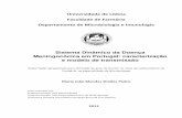 Sistema Dinâmico da Doença Meningocócica em Portugal ...repositorio.insa.pt/bitstream/10400.18/1406/1... · Neisseria meningitidis is a common commensal in the human nasopharynx