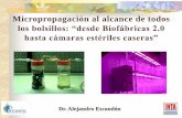 los bolsillos: “desde Biofábricas 2.0 hasta cámaras estériles ...fediap.com.ar/wp-content/uploads/2018/07/Taller-Lab...Equipo de flujo laminar, mecheros, alcohol, microscopios