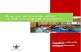 Reporte del estudio piloto aplicado a empleadores 2015 · Puesto de trabajo Centro de trabajo Localidad Antigüedad (años) Catedrática Facultad de Antropología, Universidad Veracruzana
