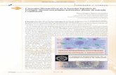 ORNADAS Y CURSOSsevirologia.es/media/uploads/04-Jornadas y Premio 2014.pdf · mentó sobre nuevos marca-dores y reguladores de la polarización de macrófagos en la homeostasis e