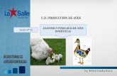 ANATOMÍA Y FISIOLOGÍA DE AVES Sesión N 03 ...pa.lasalleurubamba.com/wp-content/uploads/2018/10/Sesi...Anatomía y fisiología digestiva de las aves (Gallina) •Esófago: Está